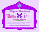 mariposas transformation