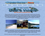 under the sea nevis