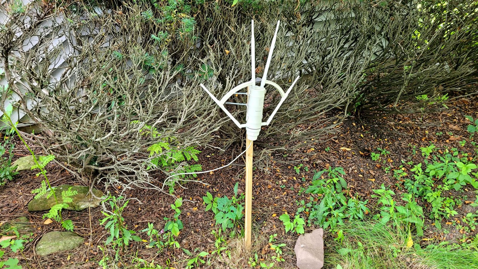 Outdoor WiFi access point mounted near the ring